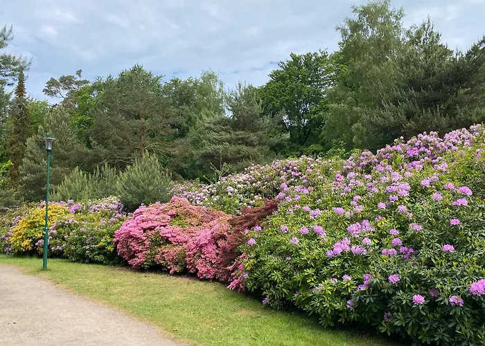 Lieblingszeit im Küstenwald Graal-Müritz