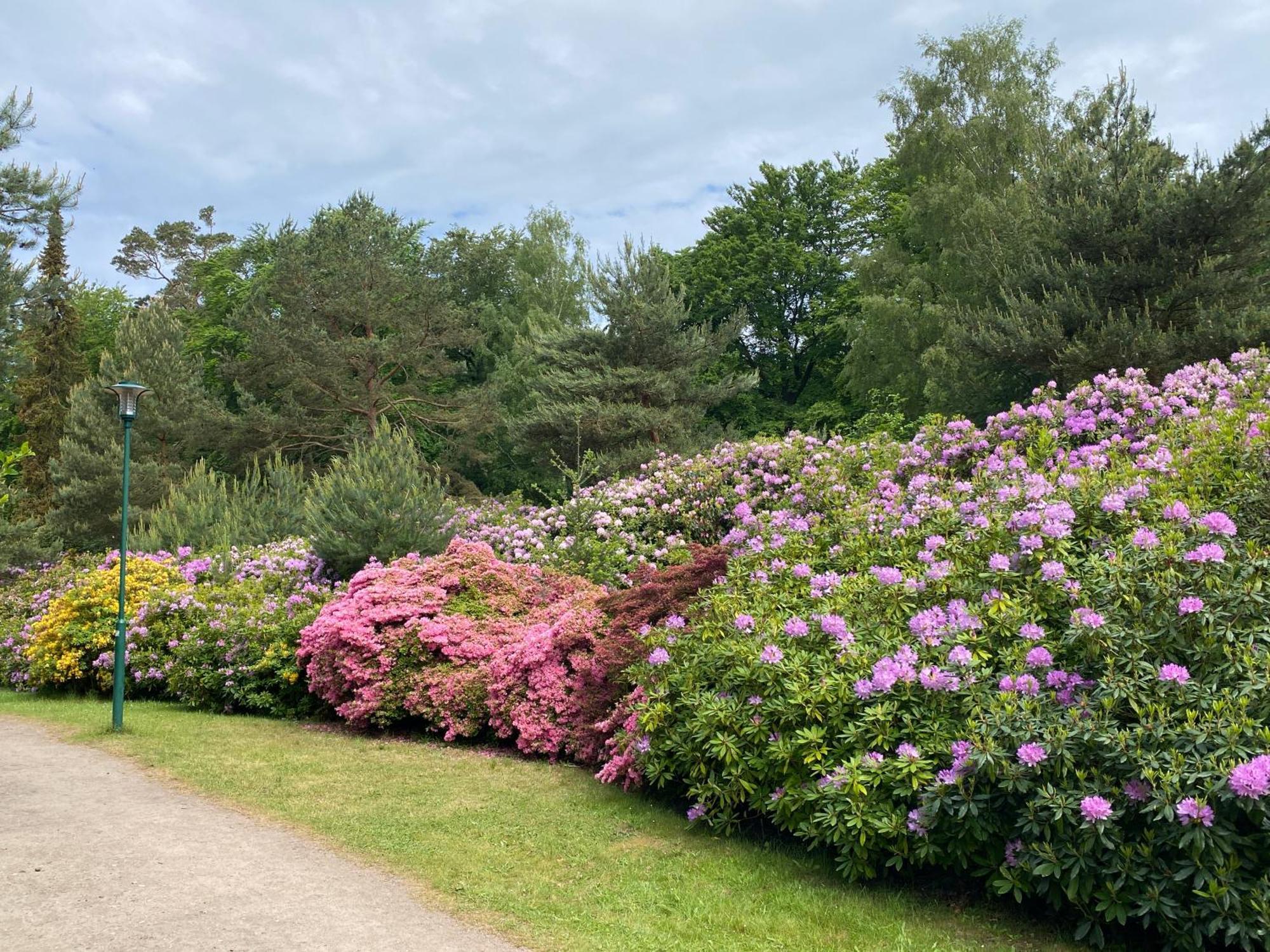 Lieblingszeit Im Küstenwald Graal-müritz * Gelbensande